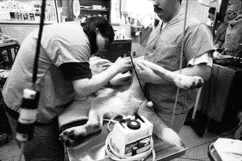 operating room