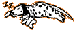 dog facts