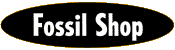 Fossil Shop