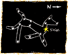 dog star